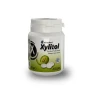Леденцы с ксилитолом Xylitol Drops в банке, дыня (26 шт), (Miradent)